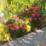 Quinta Forum Appartement *