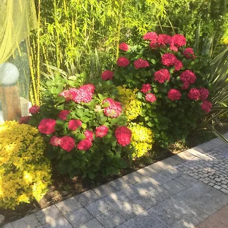 Quinta Forum Apartment *