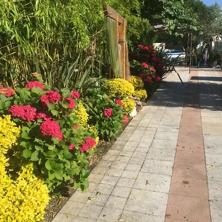 Quinta Forum Tocha
