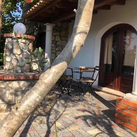 Quinta Forum