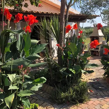 Quinta Forum *