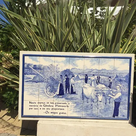 Quinta Forum *