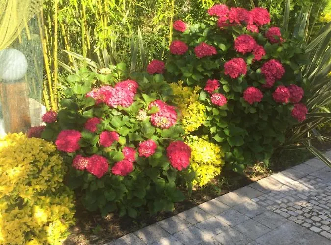 Quinta Forum Apartment *